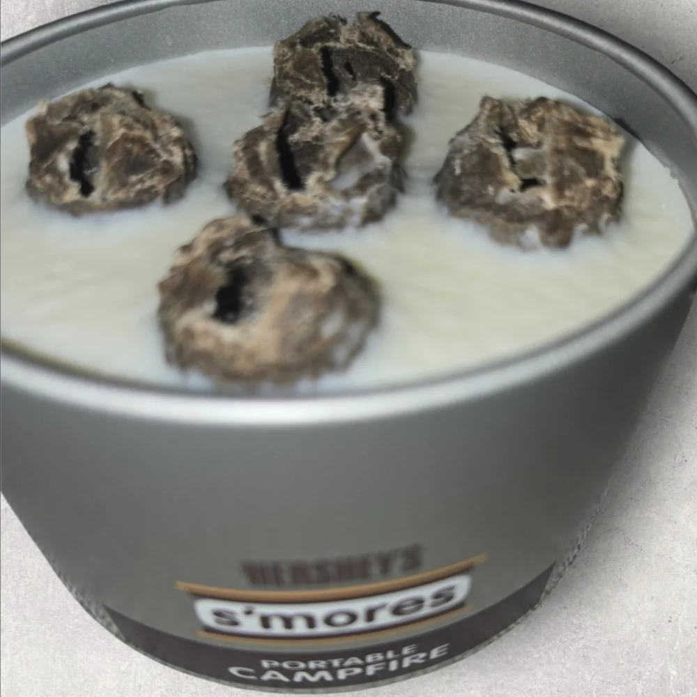 Hershey's S'mores Portable Campfire